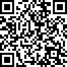 对不落实组织决定行为的处分规定